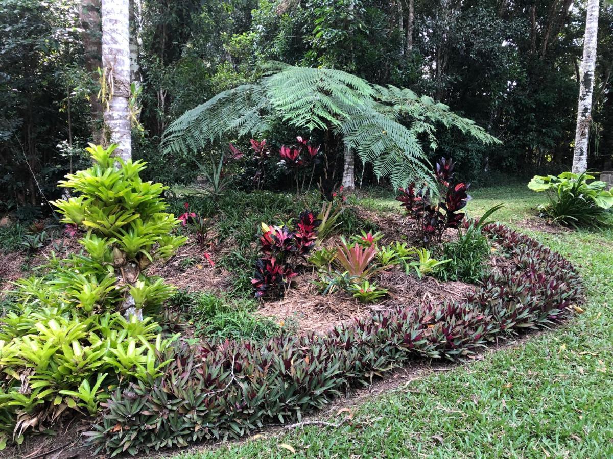 Honeybee House Villa Kuranda Exterior photo